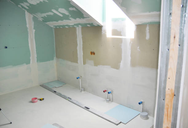 Best Basement Mold Removal  in Tigerville, SC