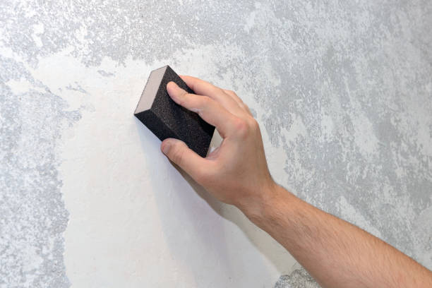Best Crawl Space Mold Remediation  in Tigerville, SC