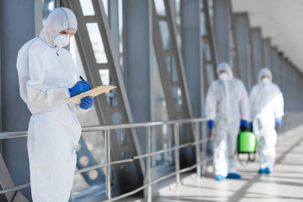 Best Mold Damage Restoration  in Tigerville, SC