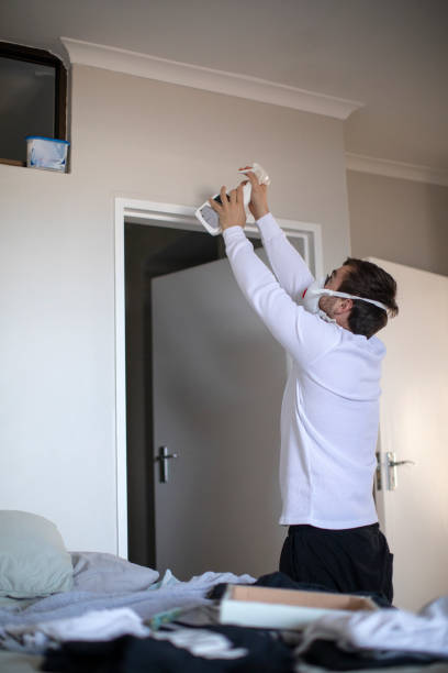 Best Black Mold Removal  in Tigerville, SC