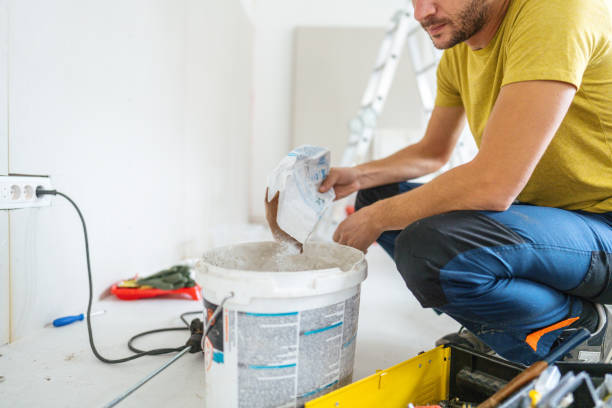 Professional Mold Removal in Tigerville, SC