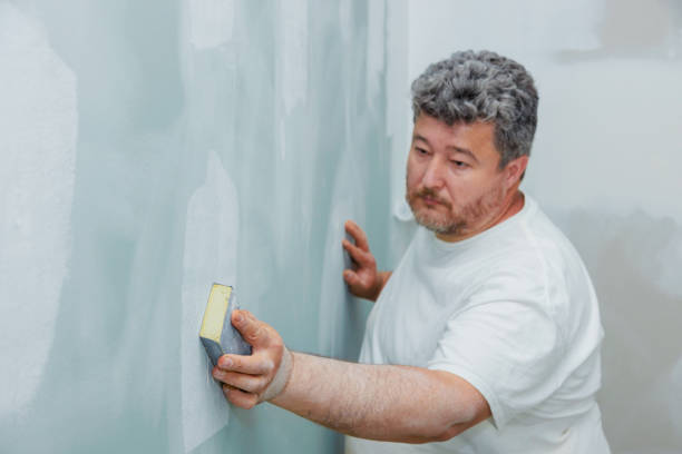 Best Mold Removal for HVAC Installations  in Tigerville, SC