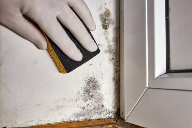 Best Post-Remediation Verification Testing  in Tigerville, SC