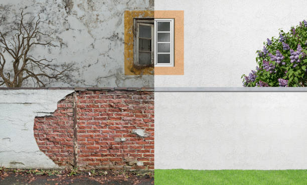 Best Mold Odor Removal Services  in Tigerville, SC