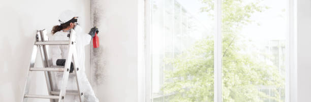 Best Emergency Mold Remediation  in Tigerville, SC