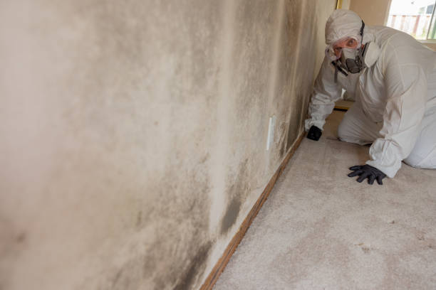 Best Mold-Related Health Consultation  in Tigerville, SC