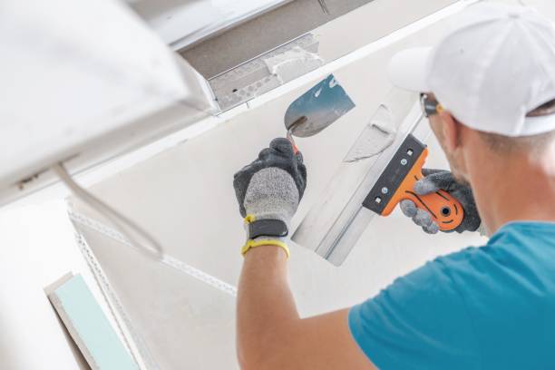 Best Comprehensive Air Testing for Mold Contaminants  in Tigerville, SC